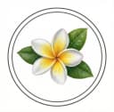Frangipani